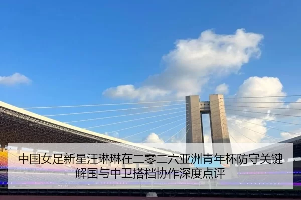zhong-guo-nv-zu-xin-xing-wang-lin-lin-zai-er-ling-er-liu-ya-zhou-qing-nian-bei-fang-shou-guan-jian-jie-wei-yu-zhong-wei-2-281.jpg